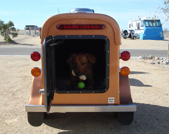 A small orange wagon with a cute dog in it