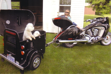Two white dogs in a black wagon