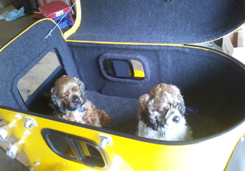 Two cute puppies in a yellow wagon